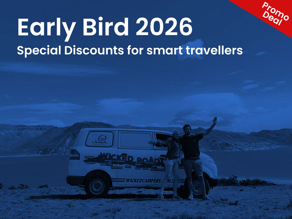 Early Bird 2026 es promos-wicked5